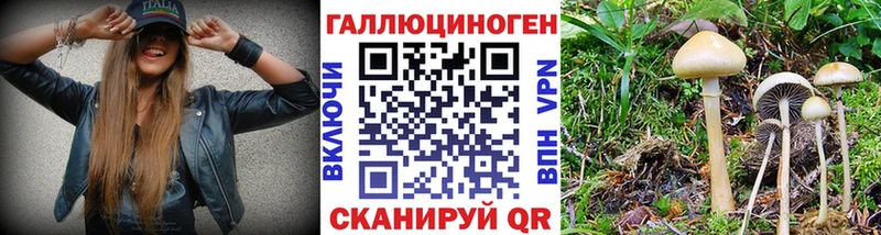 Галлюциногенные грибы ЛСД  Почеп 