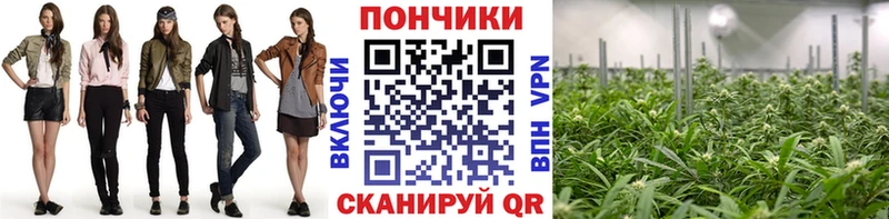 Конопля ГИДРОПОН  где можно купить наркотик  Почеп 